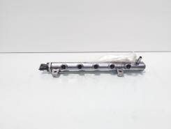 Rampa injectoare cu senzor, cod 175216420R, Renault Megane 3, 1.6 DCI, R9M402 (idi:722299)