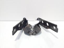 Set balamale capota fata, Audi A6 Avant (4G5, C7) (id:725397)