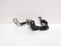 Set balamale haion, Audi A6 Avant (4G5, C7) (id:725349)