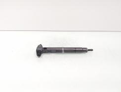 Injector Delphi, cod A6510704987, Mercedes Clasa E (W212) 2.2 CDI, OM651924 (id:728974)