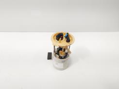 Pompa combustibil rezervor, cod 1K0919050J, Vw Golf 6 Variant (AJ5) 1.6 TDI, CAY (id:729831)