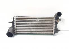 Radiator intercooler, Ford Focus 3 1.6 TDCI, T1DB (id:730295)