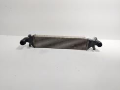 Radiator Intercooler, cod 2465000100, Mercedes Clasa A (W176) 1.8 CDI, OM651901 (idi:727633)