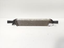 Radiator intercooler, Audi A5 (8T3) 2.0 TDI, CAG (idi:725686)