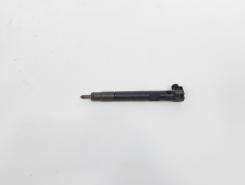 Injector Delphi, cod A6510702887, Mercedes Clasa E (W212) 2.2 CDI, OM651924 (id:732020)