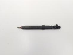 Injector, cod 9686191080, EMBR00101D, Ford Galaxy 2 2.0 TDCI, UFWA (id:731590)