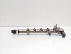 Rampa injectoare cu senzori Delphi, cod A6510700595, Mercedes Clasa E (W212) 2.2 CDI, OM651924 (id:732177)