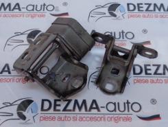 Set balamale dreapta fata, Renault Megane 2