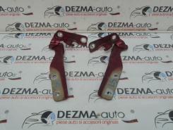 Set balamale capota fata, Fiat Doblo (119)