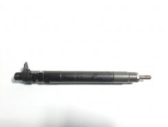 Injector, cod 9686191080, Peugeot 407 (6D) 2.0 hdi