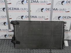 Radiator racire apa 1K0121253AA, Skoda Octavia 2 (1Z3) 1.9tdi