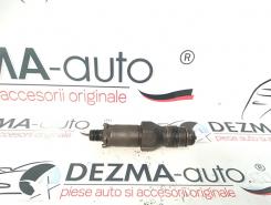 Injector cod  LCR6736001, Citroen Berlingo 1, 1.9D (id:308646)