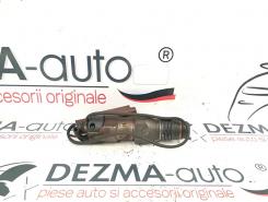 Injector cod  6736001, Citroen Berlingo 1, 1.9D (id:153074)