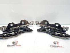 Set balamale capota fata, Mercedes Clasa B (W245)