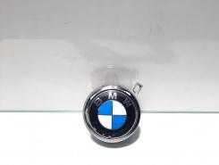 Maner deschidere haion cu sigla, Bmw 1 (E81, E87) [Fabr 2004-2010] 7207933 (pr:110747)