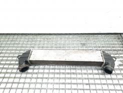 Radiator intercooler, cod 517189530, Fiat Doblo (119), 1.3 M-JET, 199A2000