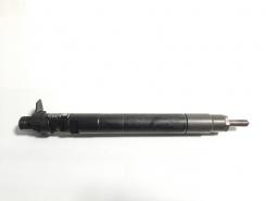 Injector, cod 9686191080, EMBR00101D