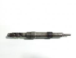 Injector, cod  EJDR003017, Ford Mondeo 3 (B5Y) 2.0 tdci, D6BA (id:440172)