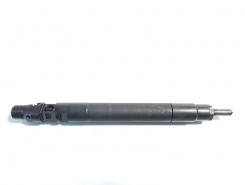 Injector, cod 9686191080, EMBR00101D, Ford Galaxy 2, 2.0 TDCI, UFWA (id:410946)