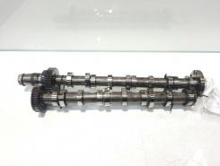 Set ax came stanga, Audi A5 (8T3) 2.7 tdi, CKG