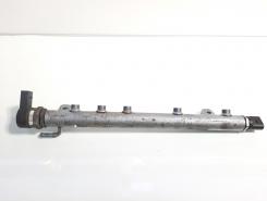 Rampa injectoare, cod A6400702395, Mercedes Clasa A (W169) 2.0 cdi (id:345281)