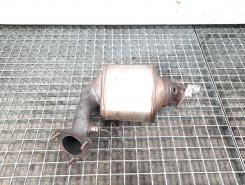 Catalizator, cod 8E0131701GN, Audi A6 Allroad (4FH, C6) 2.7 tdi (idi:461829)