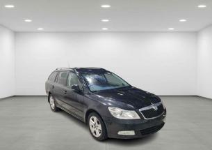 Vindem piese de caroserie si elemente de interior, pentru Skoda Octavia 2 Combi (1Z5), 2.0 Diesel