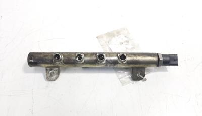 Rampa injectoare cu senzor, cod 55187887, 0445214058, Alfa Romeo 147 (937), 1.9 JTD, 192A5000 (idi:486394)