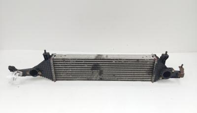 Radiator intercooler, cod Y8396003, Nissan Qashqai, 1.6 DCI (id:640292)
