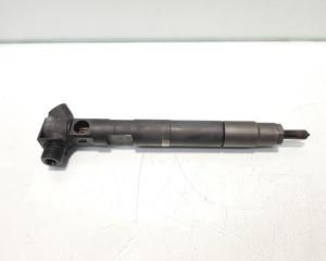 Injector, cod A6510700587, Mercedes Clasa E (W212) 2.2 CDI, OM651924 (id:468666)