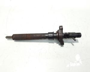 Injector, cod 9656389980, EJBR03801D, Peugeot 407 Coupe, 2.0 HDI, RHR (pr:110747)