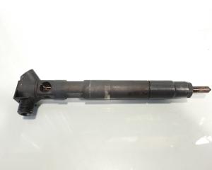 Injector Delphi, cod A6510704987, Mercedes Clasa E (W212) 2.2 CDI, OM651924 (id:484659)