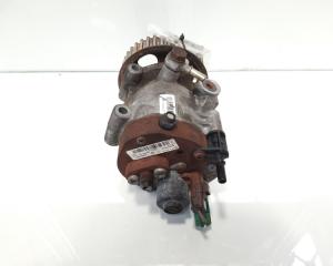 Pompa inalta presiune Delphi, cod 8200423059, 8200057225, Renault Kangoo 1 Express, 1.5 DCI, K9K714 (pr:110747)