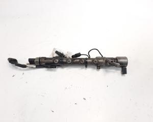 Rampa injectoare cu senzori Delphi, cod A6510700595, Mercedes Clasa E (W212) 2.2 CDI, OM651924 (id:485378)