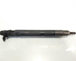 Injector, cod 9686191080, EMBR00101D , Ford S-Max 1, 2.0 TDCI, UFWA (idi:485542)