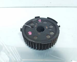 Fulie ax came, cod 038109111E, Audi A6 (4F2, C6), 2.0 TDI, BLB (id:487943)