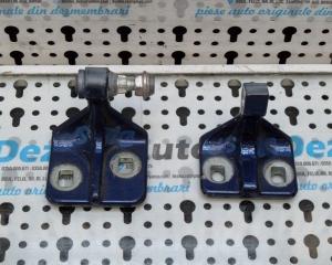 Set balamale dreapta spate, Mercedes Clasa C (W203)