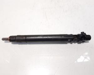 Injector, cod 9686191080, EMBR00101D, Ford Galaxy 2, 2.0 TDCI, UFWA (id:507069)