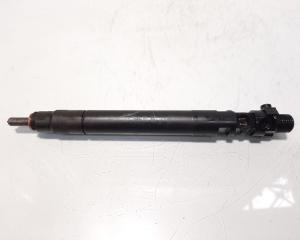 Injector, cod 9686191080, EMBR00101D, Ford Galaxy 2, 2.0 TDCI, UFWA (pr:110747)