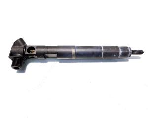 Injector, cod A6510700587, Mercedes Clasa E T-Model (S212), 2.2 CDI, OM651924 (idi:514764)