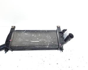 Radiator intercooler, cod 14461-EB360, Nissan Pathfinder (R51) 2.5 diesel, YD25DDTi, 4X4 (idi:527056)