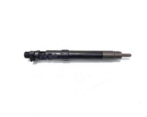 Injector, cod 9686191080, EMBR00101D, Ford Kuga I, 2.0 TDCI, TXDA (pr:110747)