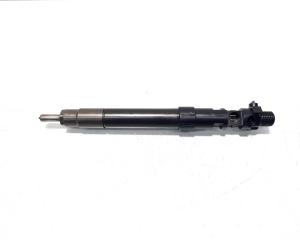 Injector, cod 9686191080, EMBR00101D, Ford Kuga I, 2.0 TDCI, TXDA (pr:110747)