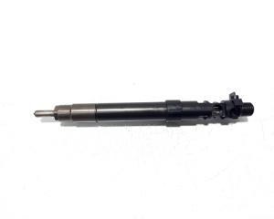 Injector, cod 9686191080, EMBR00101D, Ford Galaxy 2, 2.0 TDCI, UFWA (id:529909)