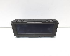 Display bord, cod GM12844841G, Opel Insignia A (id:546255)