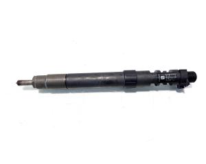 Injector, cod 9686191080, EMBR00101D, Ford Kuga I, 2.0 TDCI, TXDA (id:546673)