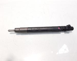 Injector, cod 9688438580, EJBR06001D, Citroen C5 (III) Break, 2.0 HDI, RHF (id:555216)