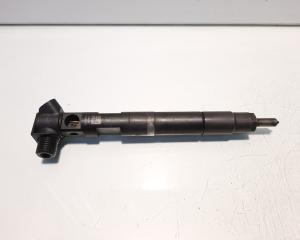 Injector Delphi, cod A6510702887, Mercedes Clasa E (W212), 2.2 CDI, OM651924 (id:566515)