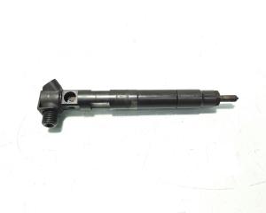 Injector Delphi, cod A6510704987, Mercedes Clasa E (W212) 2.2 CDI, OM651924 (id:568244)