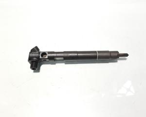 Injector Delphi, cod A6510702687, Mercedes Clasa C (W204), 2.2 CDI, OM651913 (id:576521)